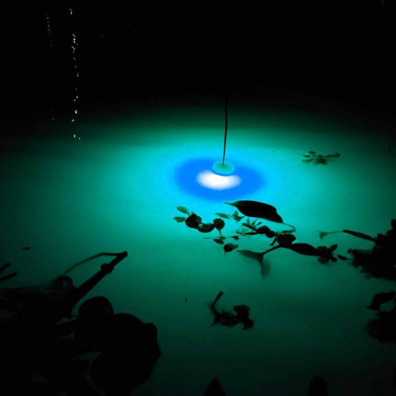 Mini Fishing Attraction Lamp G - Fishing Boat Navigation Light บทวิจารณ์และราคา