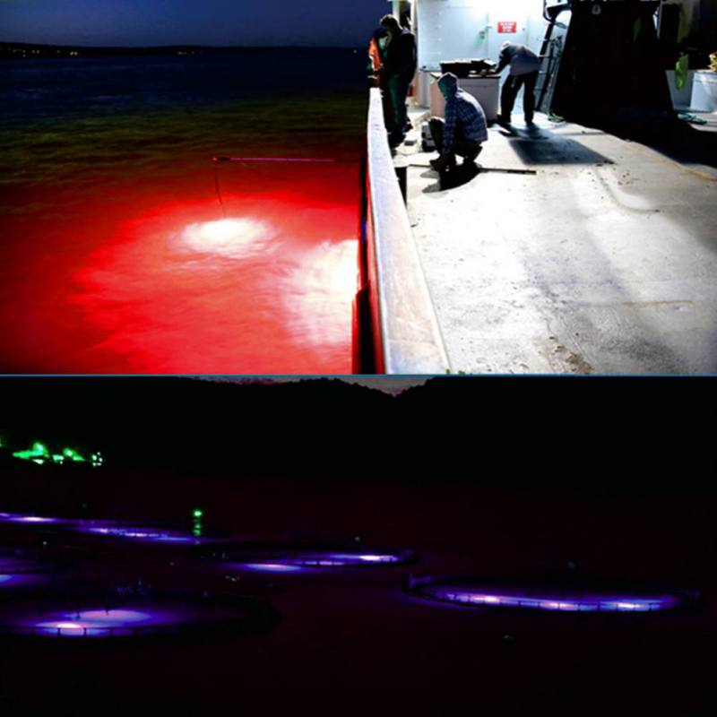 Mini Fishing Attraction Lamp G - Fishing Boat Navigation Light บทวิจารณ์และราคา